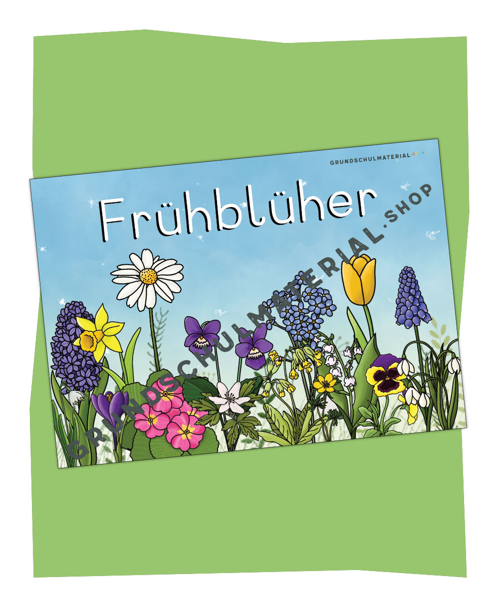 Frühblüher Deckblatt