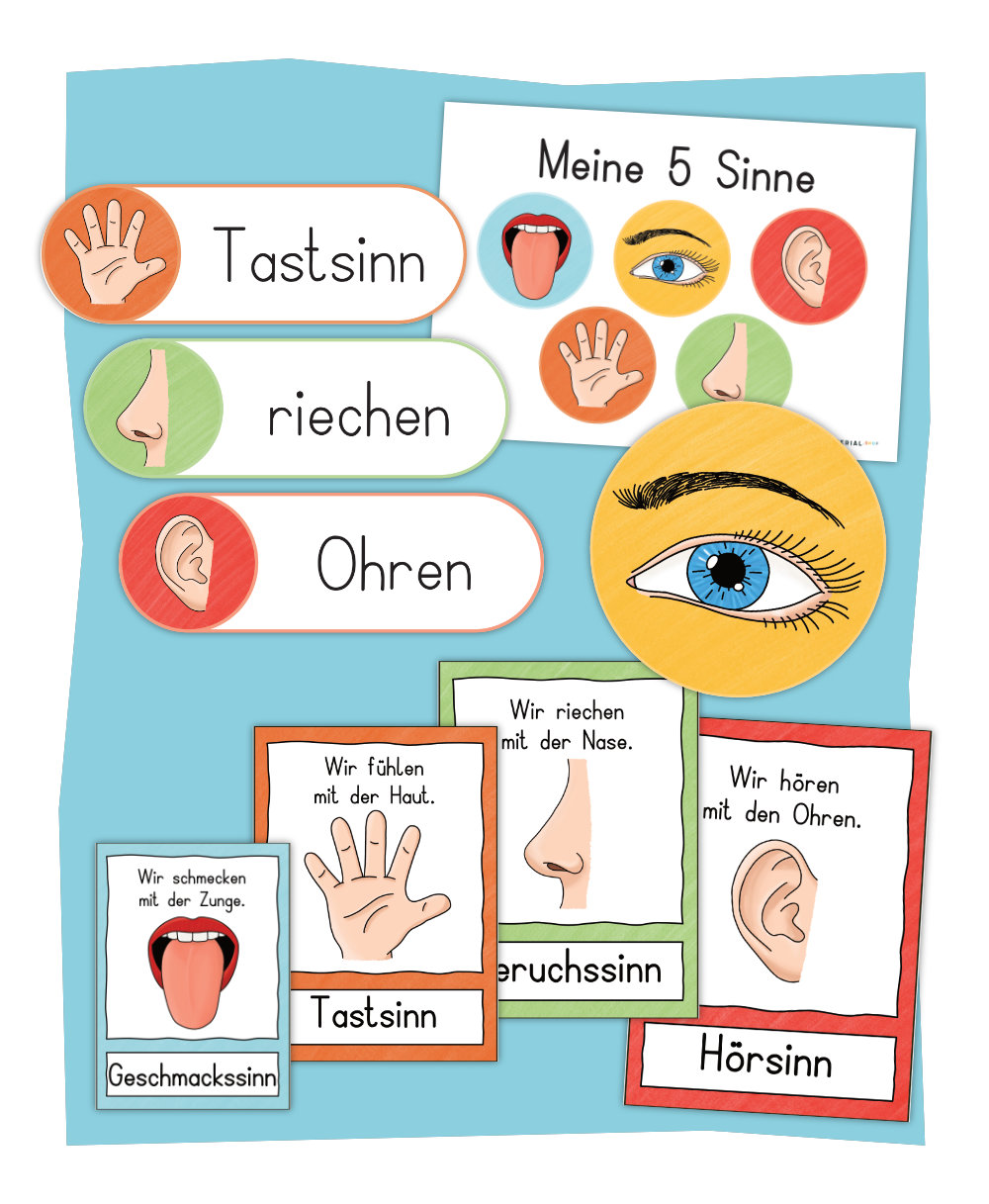 Bildkarten und Tafelmaterial Sinne