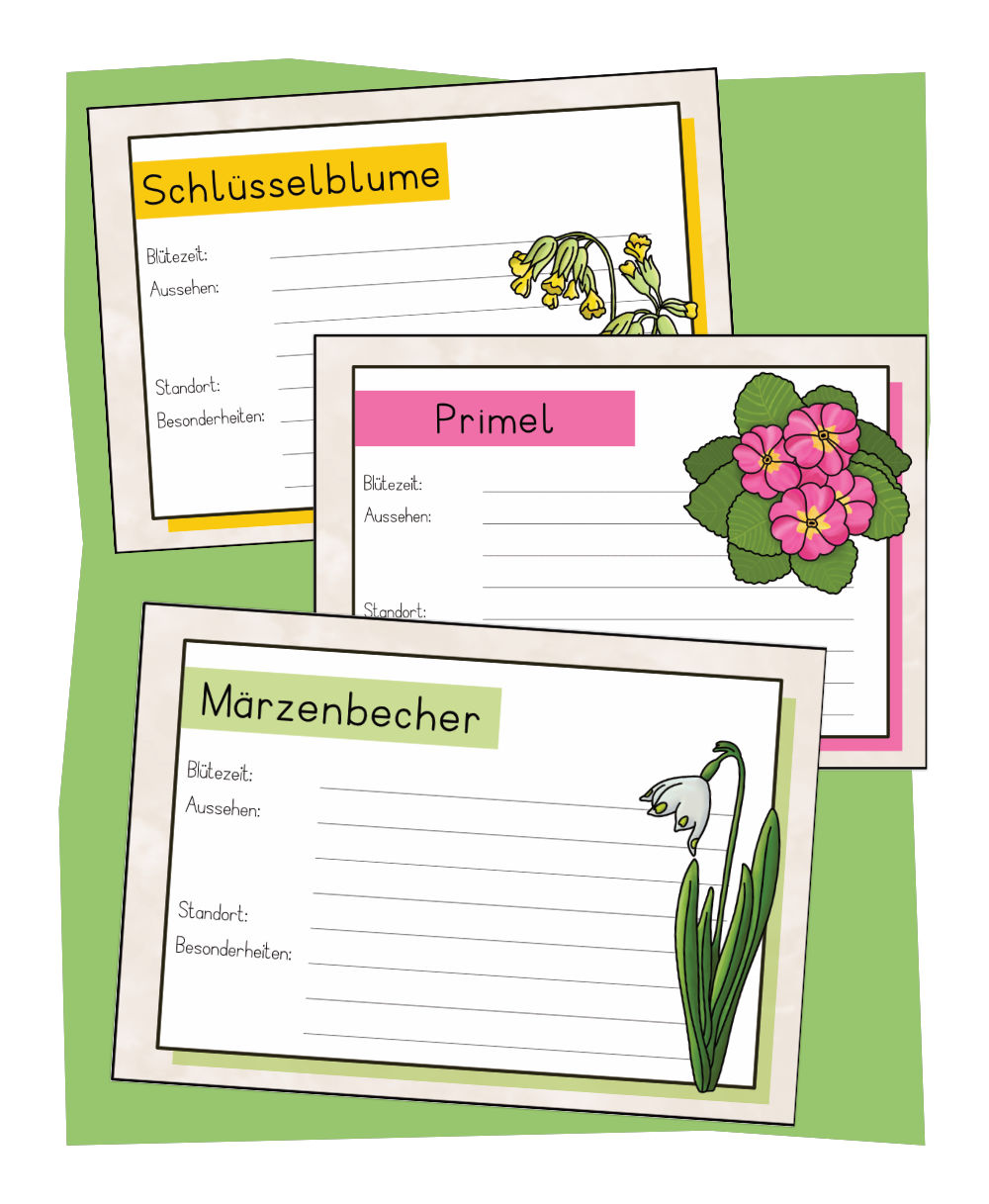 Frühblüher Steckbriefe