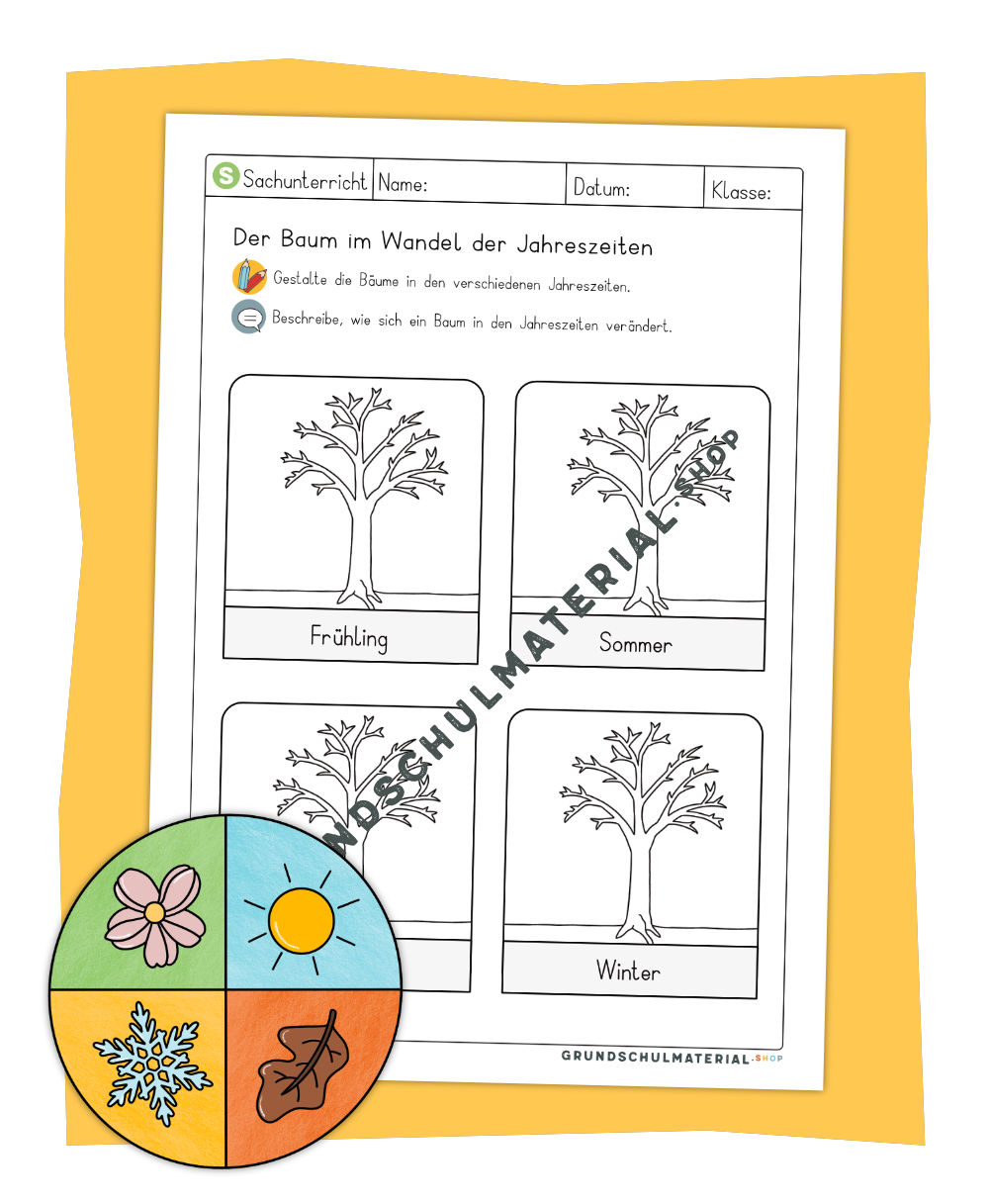 Baum im Wandel der Jahreszeiten Arbeitsblatt